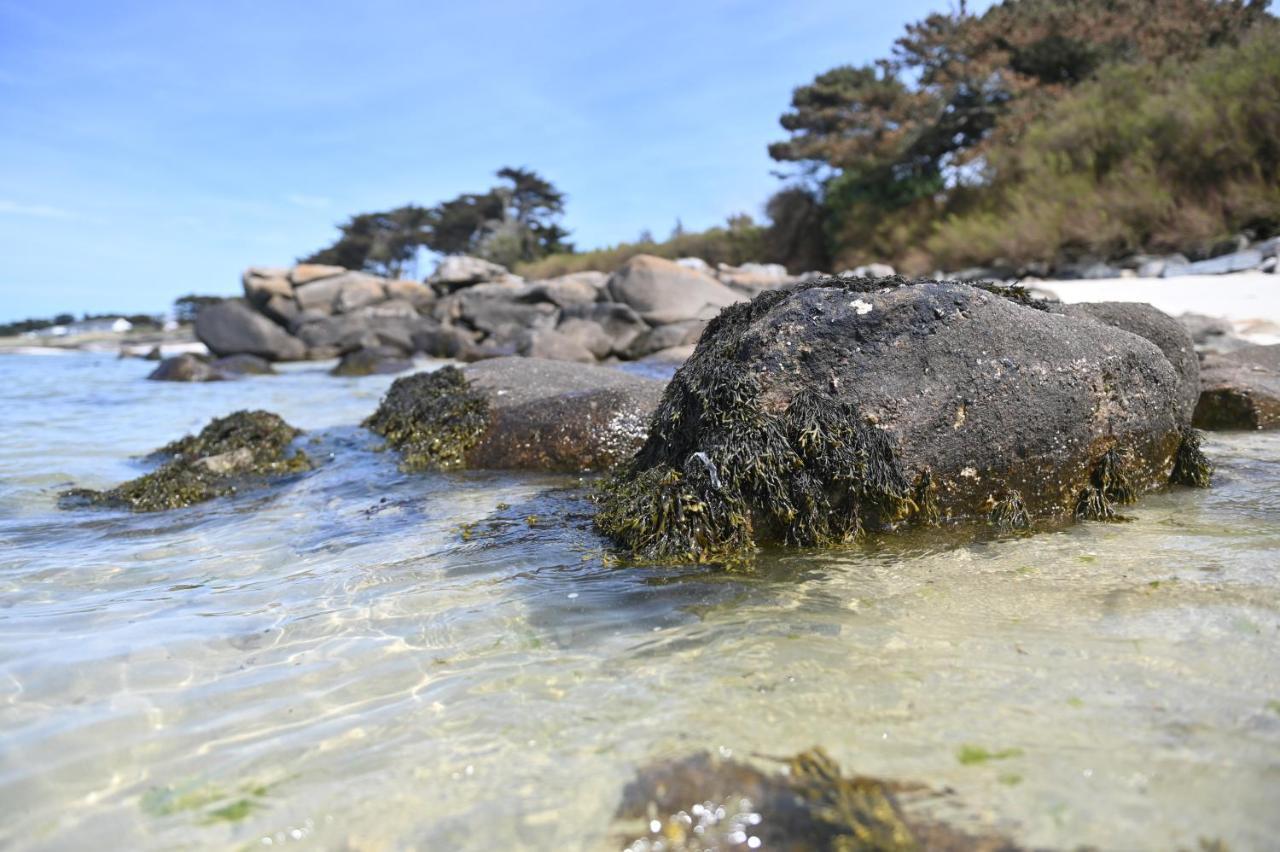 Entre Terre Et Mer Plougoulm Kültér fotó